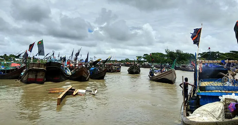 আলীপুর মাছ বাজার