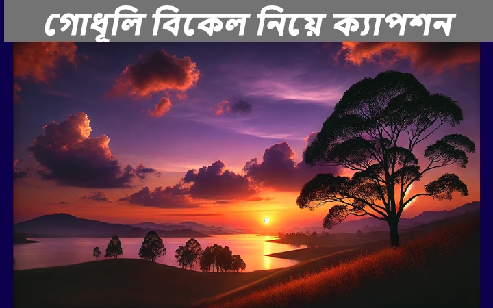 গোধূলি বিকেল নিয়ে ক্যাপশন